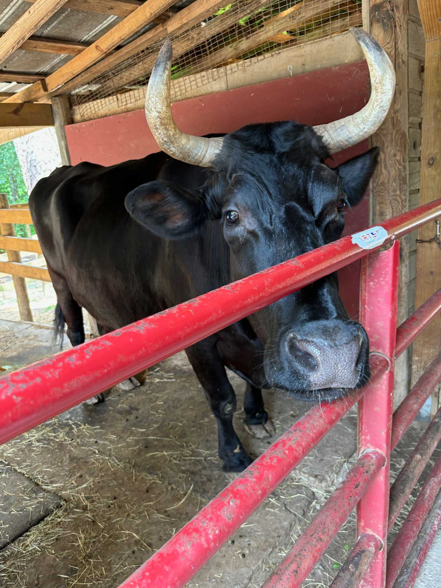 Check out our trip to the Zoo!