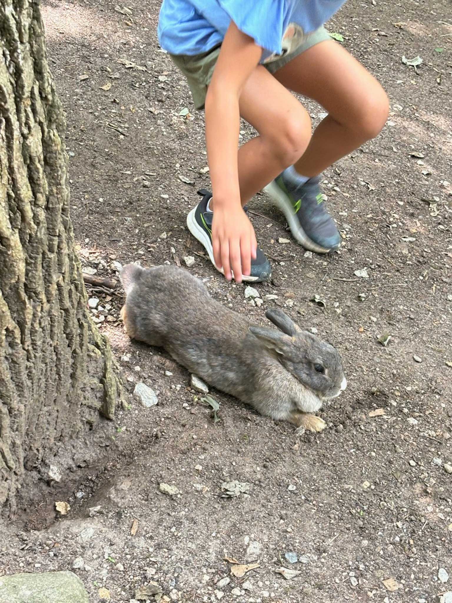 Check out our trip to the Zoo!